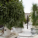 Bell, Book and Candle, hydroponic garden,roof top garden,vertical gardening