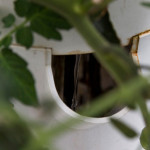 Bell, Book and Candle, hydroponic garden,roof top garden,vertical gardening