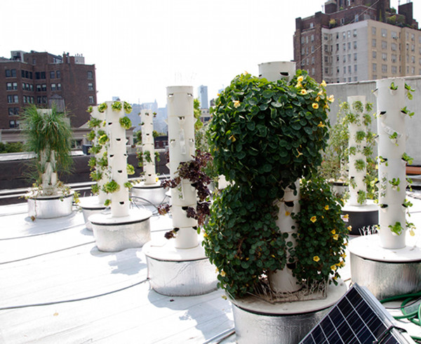 Rooftop Hydroponic Garden NYC • TheCoolist - The Modern Design ...