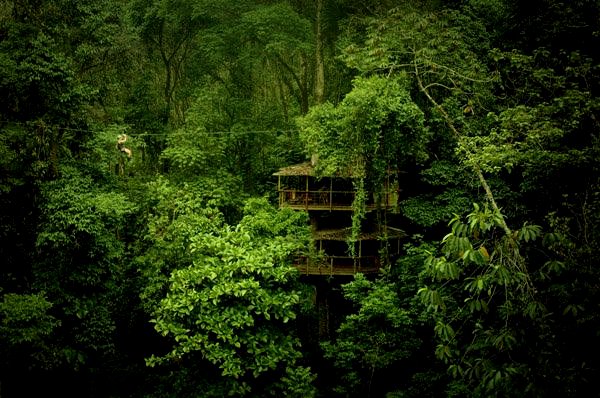 Finca-Bellavista-Treehouse-Community-2
