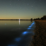Glowing Nature Photography by Phil Hart 1 Glowing Nature Photography by Phil Hart 1