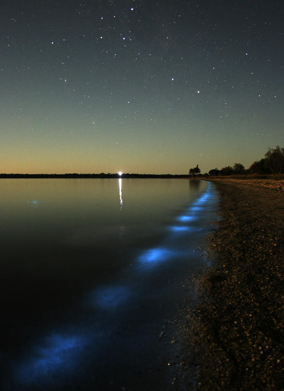 Glowing Nature Photography by Phil Hart 1
