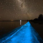 Glowing Nature Photography by Phil Hart 2 Glowing Nature Photography by Phil Hart 2