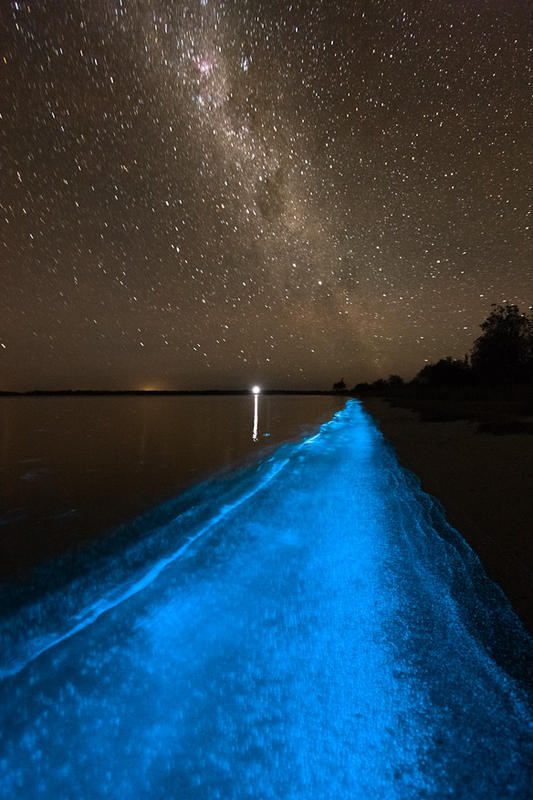 Glowing Nature Photography by Phil Hart 2