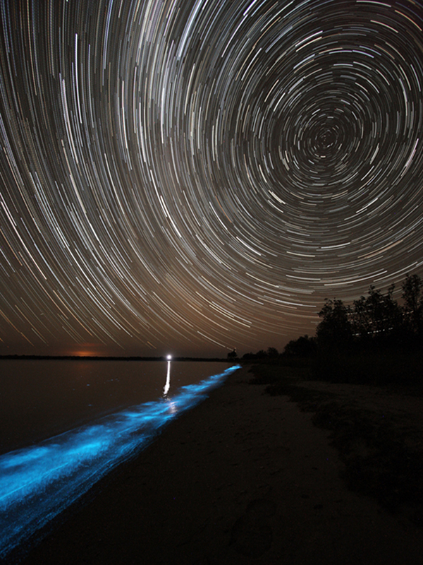 Glowing Nature Photography by Phil Hart 3