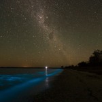 Glowing Nature Photography by Phil Hart 4 Glowing Nature Photography by Phil Hart 4