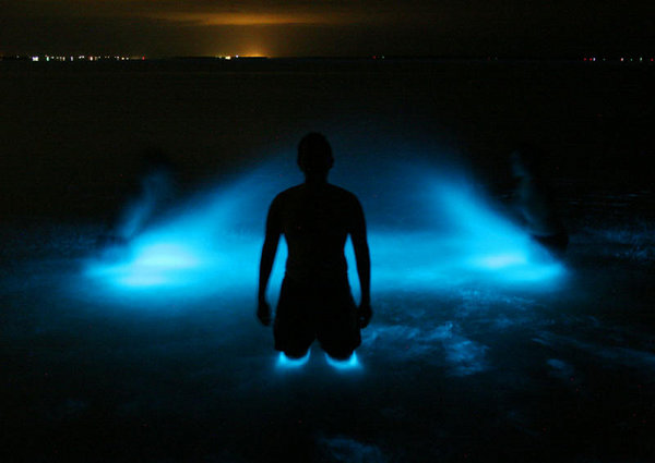 Glowing Nature Photography by Phil Hart 5