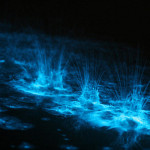Glowing Nature Photography by Phil Hart 6 Glowing Nature Photography by Phil Hart 6