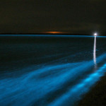 Glowing Nature Photography by Phil Hart 7 Glowing Nature Photography by Phil Hart 7