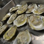 Sideberns Oysters