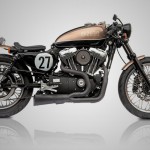 Bald Terrier 1200 by Deus Ex Machina 1