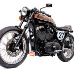 Bald Terrier 1200 by Deus Ex Machina 2