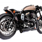 Bald Terrier 1200 by Deus Ex Machina 3