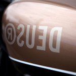 Bald Terrier 1200 by Deus Ex Machina 4