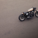 Bald Terrier 1200 by Deus Ex Machina 6