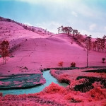 Infrared Warriors by Richard Mosse 6 Infrared Warriors by Richard Mosse 6