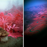 Infrared Warriors by Richard Mosse 7 Infrared Warriors by Richard Mosse 7
