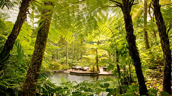 Como Shambhala Resort - Bali 12