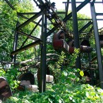 Amusement Park 7 Amusement Park 7