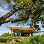 Caterpillar-House-Feldman-Architecture-7