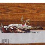 Patrick Bremer roadkill-2-Large 1