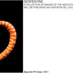 serpentine mark laita 1