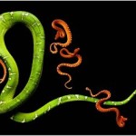 serpentine mark laita 11