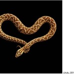 serpentine mark laita 12