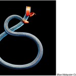 serpentine mark laita 6