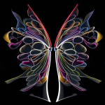 Cara-Barer-butterfly-9