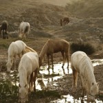 lapause marrakech morocco 7