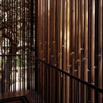 pali-hill-by-helene-binet-mombai 4