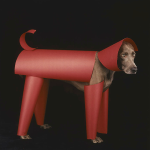 william-wegman-dog-portraits-5