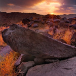 Captivating Photography by Riaad Algarei 5
