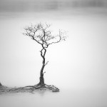 minimalism by hengki koentjoro.JPG 6