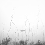 minimalism by hengki koentjoro.JPG 7