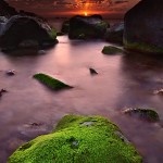 stunning photography by riaad algarei 2