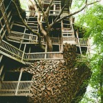 the ministers treehouse crossville tn 4