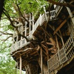 the ministers treehouse crossville tn 5