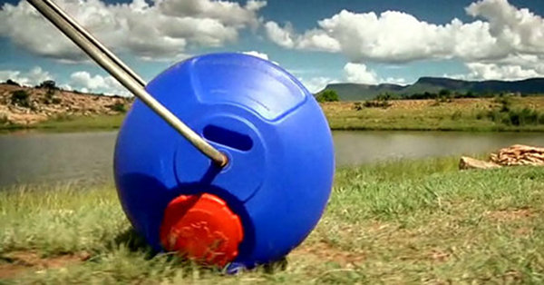 Hippo Roller 1