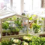Ikea-Mini-Greenhouse by socker mini garden 1