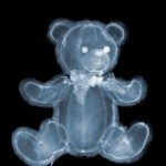 nick veasy xray photography 8