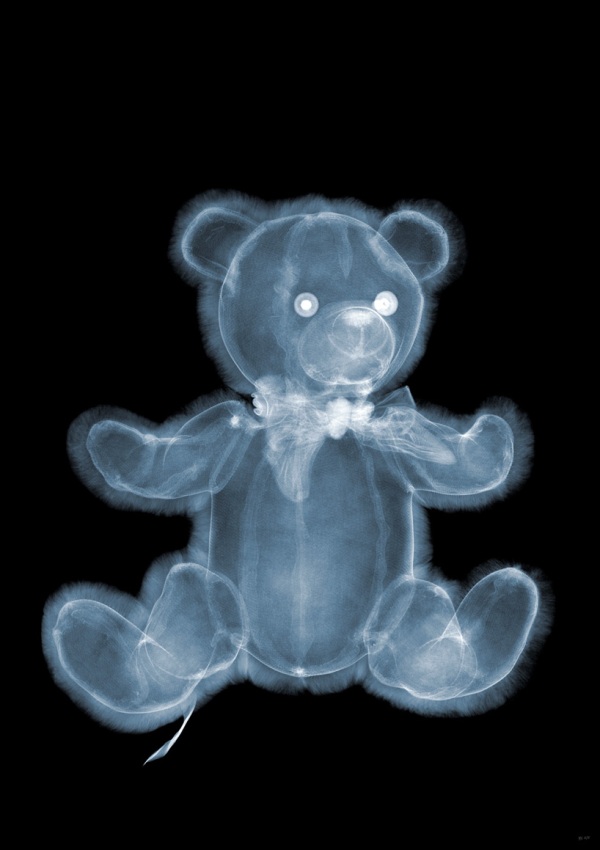 nick veasy xray photography 8