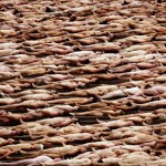 spencer tunick everyday people required photography 10