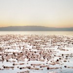 spencer tunick everyday people required photography 11