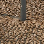 spencer tunick everyday people required photography 5