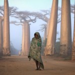 2012 national geographic photo contest winners merits viewers choice 1