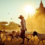 2012 national geographic photo contest winners merits viewers choice 7