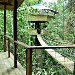 Finca-Bellavista-Treehouse-Community-1