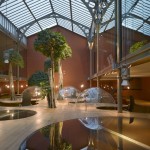 Forest Playscape Office 1